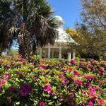 Hampton Park