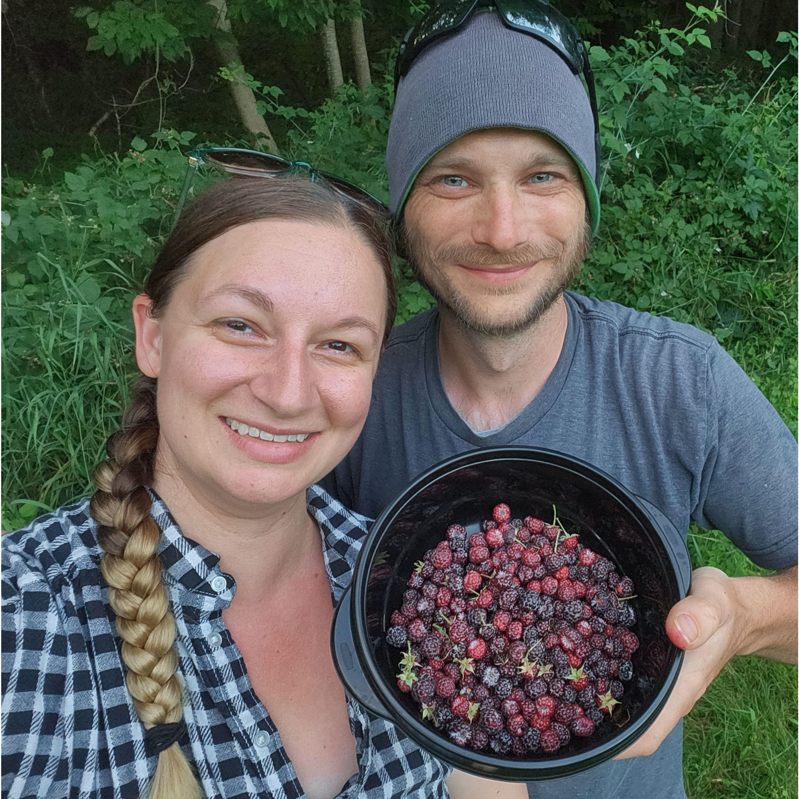 Our first black raspberry harvest from the garden on our Ashland property!