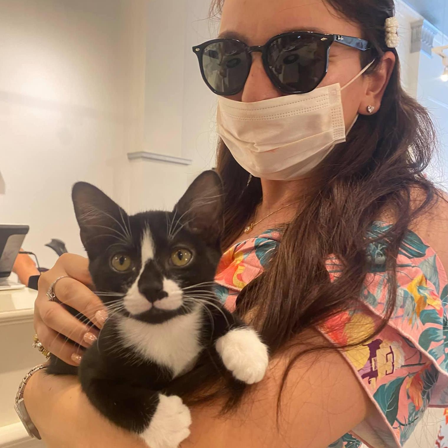 We are friends to cats everywhere