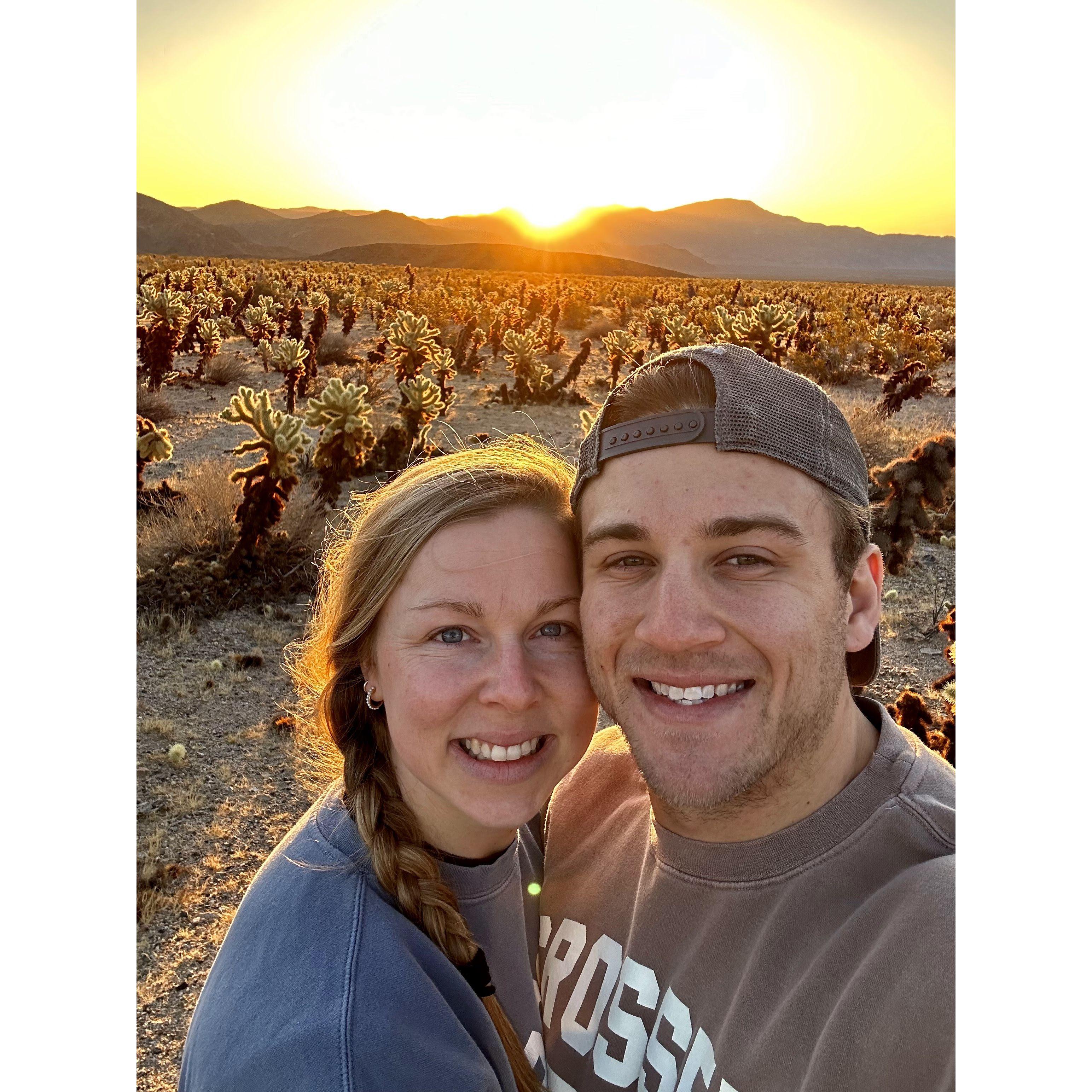 Cholla Cactus Garden for sunrise in Joshua Tree NP