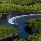 Everglades Airboat Tours