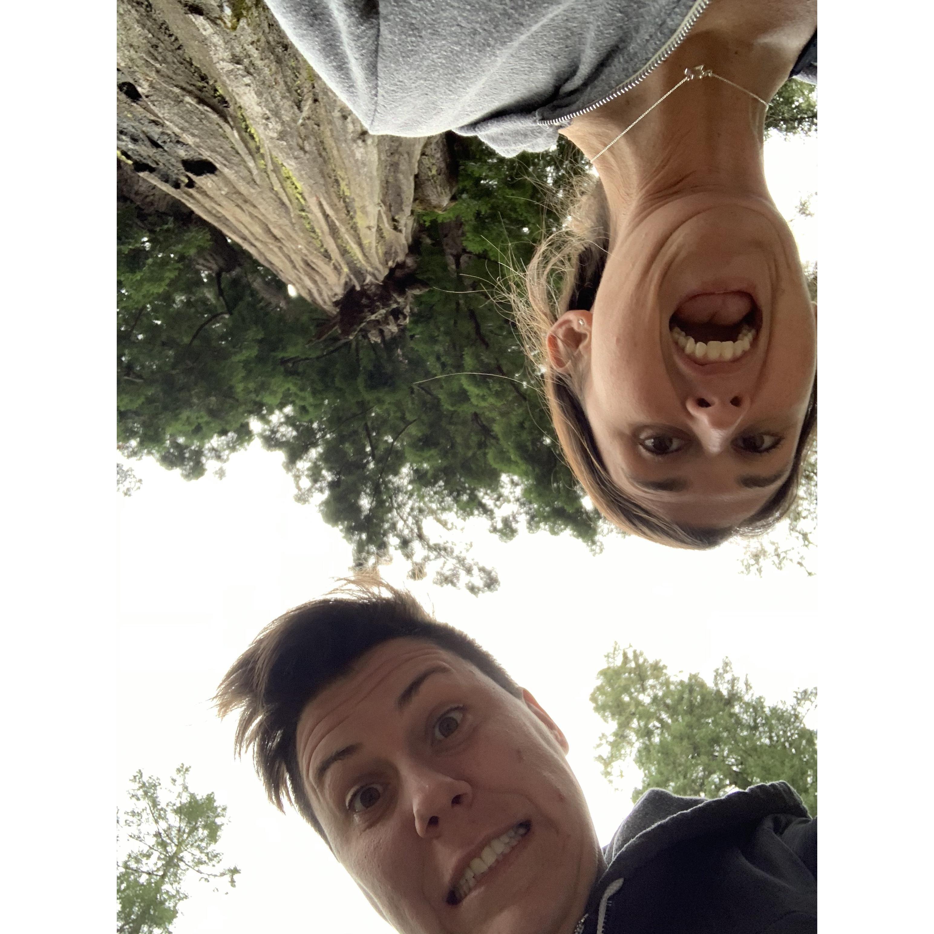 We love trees!