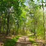 Bradley Palmer State Park