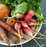 Callicoon Farmers' Market