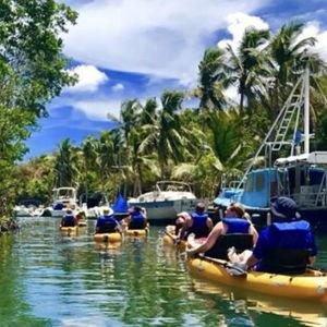 St. Croix- Kayak in Salt River Bay