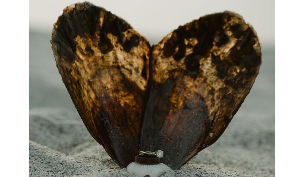 The Wedding Website of Desiree Graham and Douglas Washington