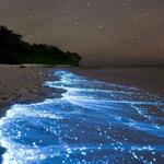 Bahía Bioluminiscente