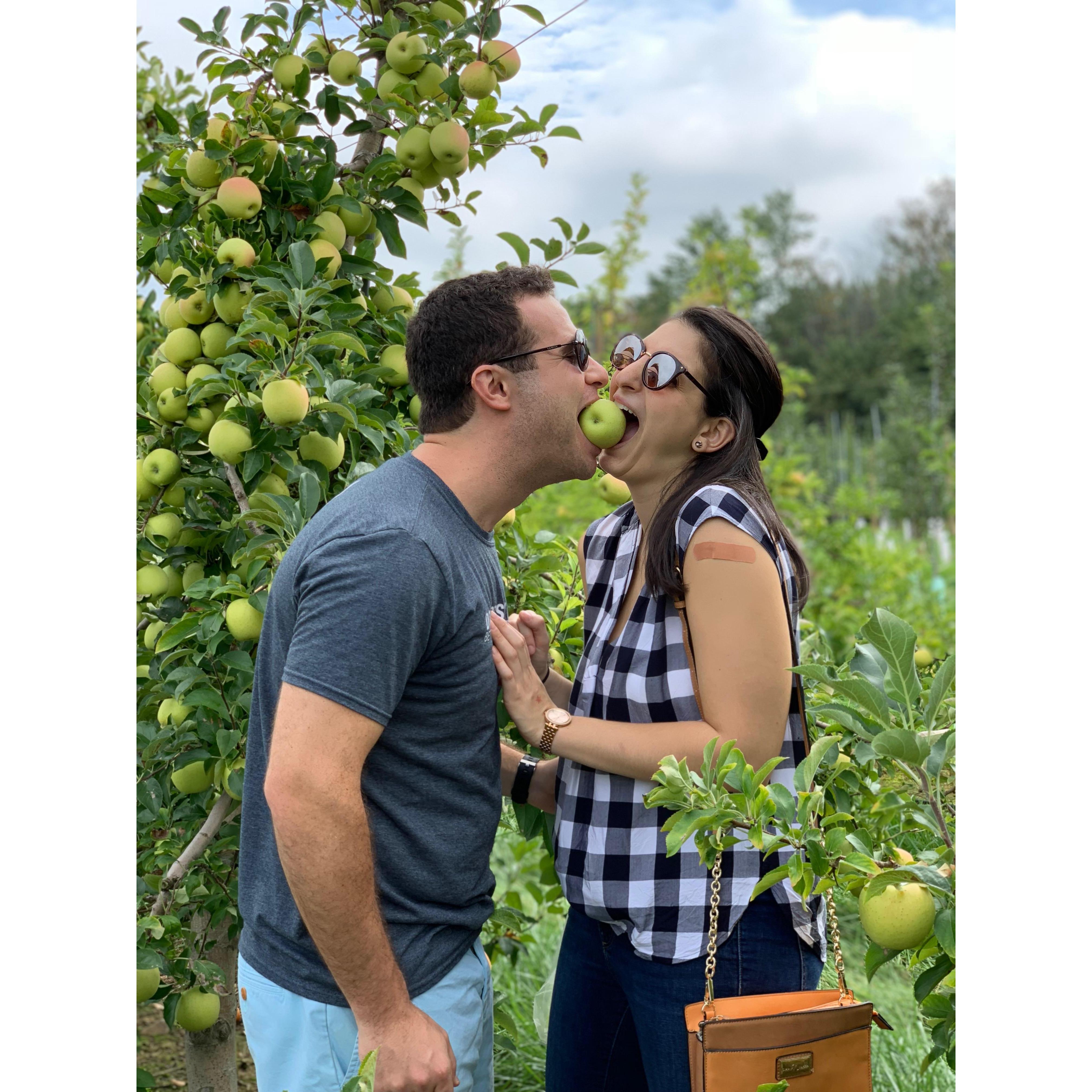 Apple picking in NJ with our friends Corey and Ellyn