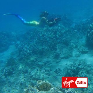 Sea Scooter Snorkeling Tour for 2 - Maui
