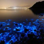 Luminous Lagoon Tour