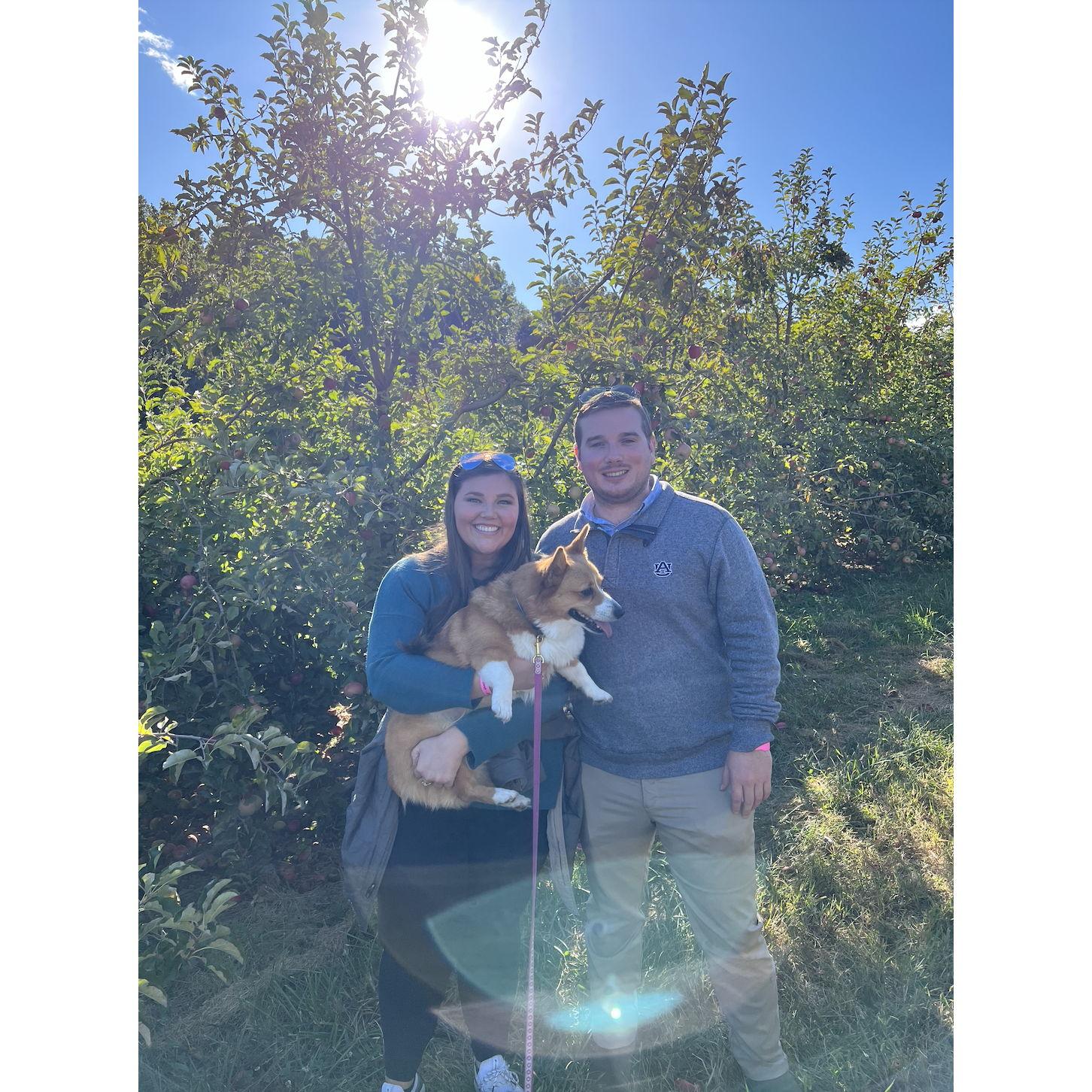 Apple picking with Eleanor and Emmy in North GA - October 2023