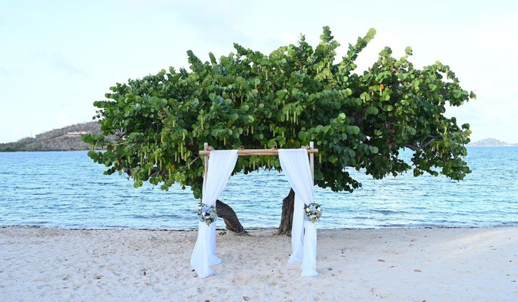 The Wedding Website of Kayla Bobich and John Anselmo