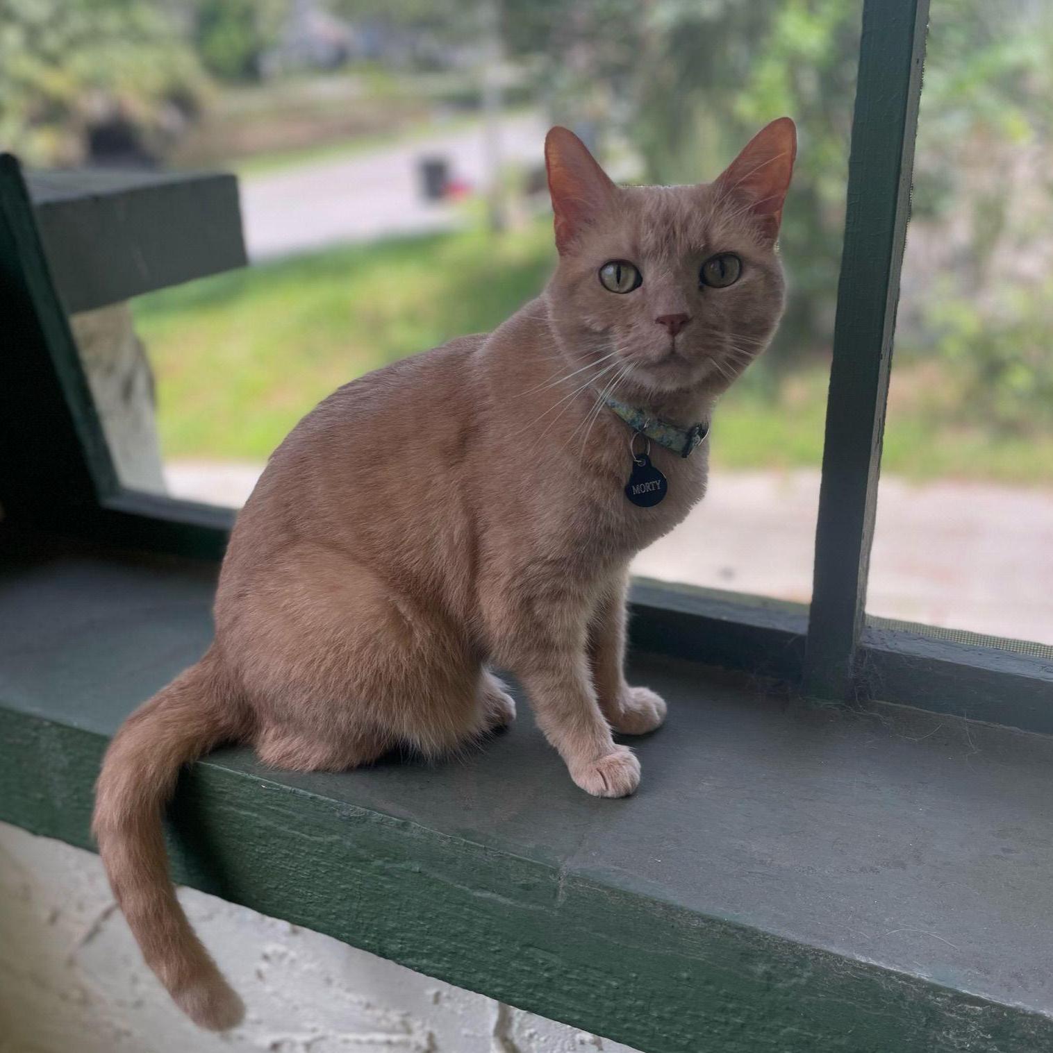 Morty
