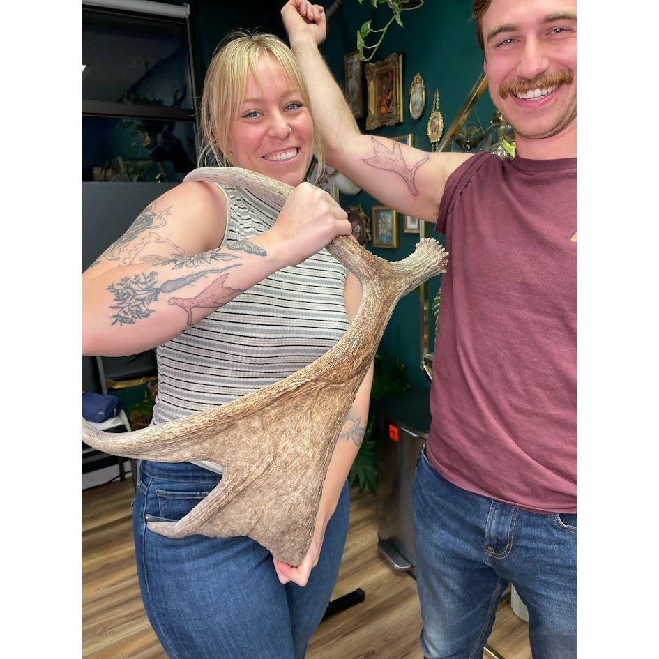 First matching tattoo of the moose antler we found hiking together and our most prized possession