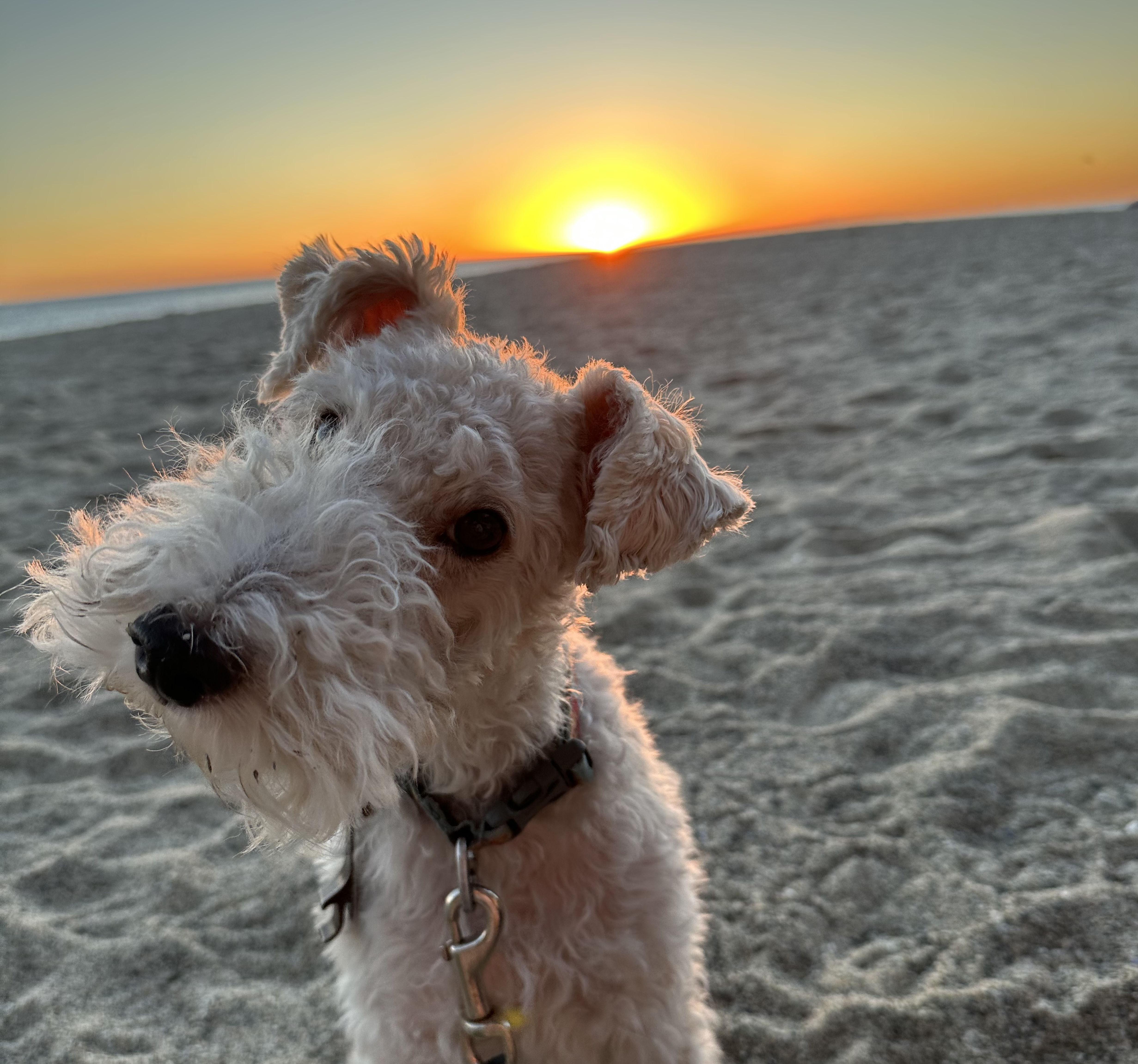 The Wedding Website of Anne Warzecha and Samuel Siffert