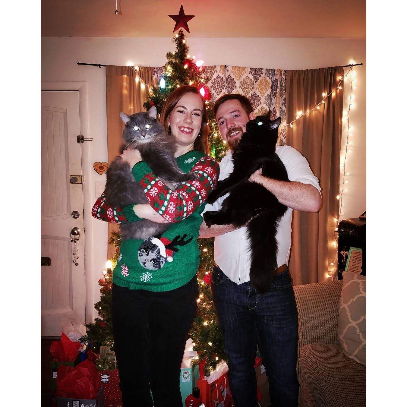 First Christmas 2017 with the kitties