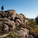 Gorham Mountain Trail