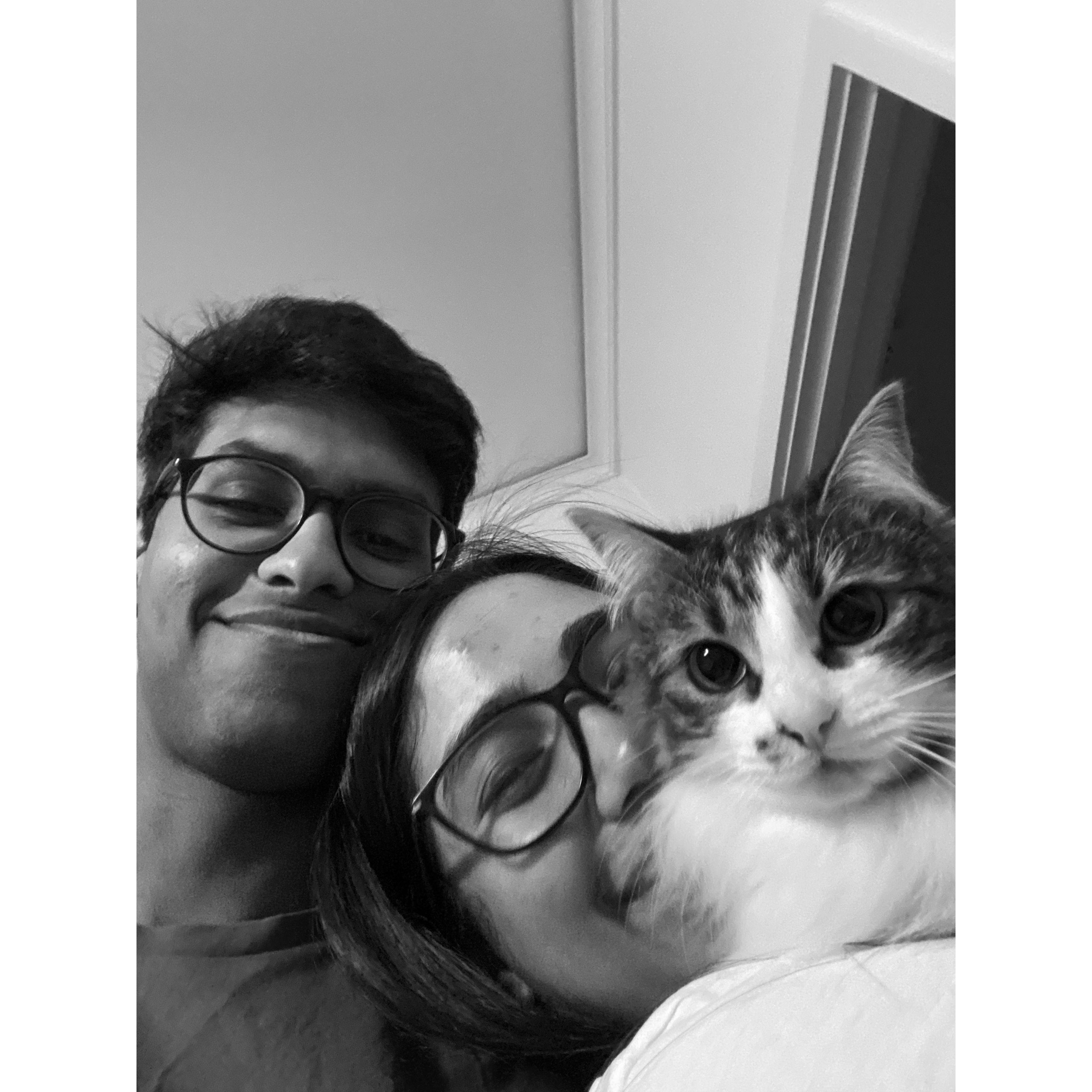 At home – 2022