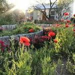 Fredericksburg Herb Farm