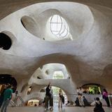 American Museum of Natural History