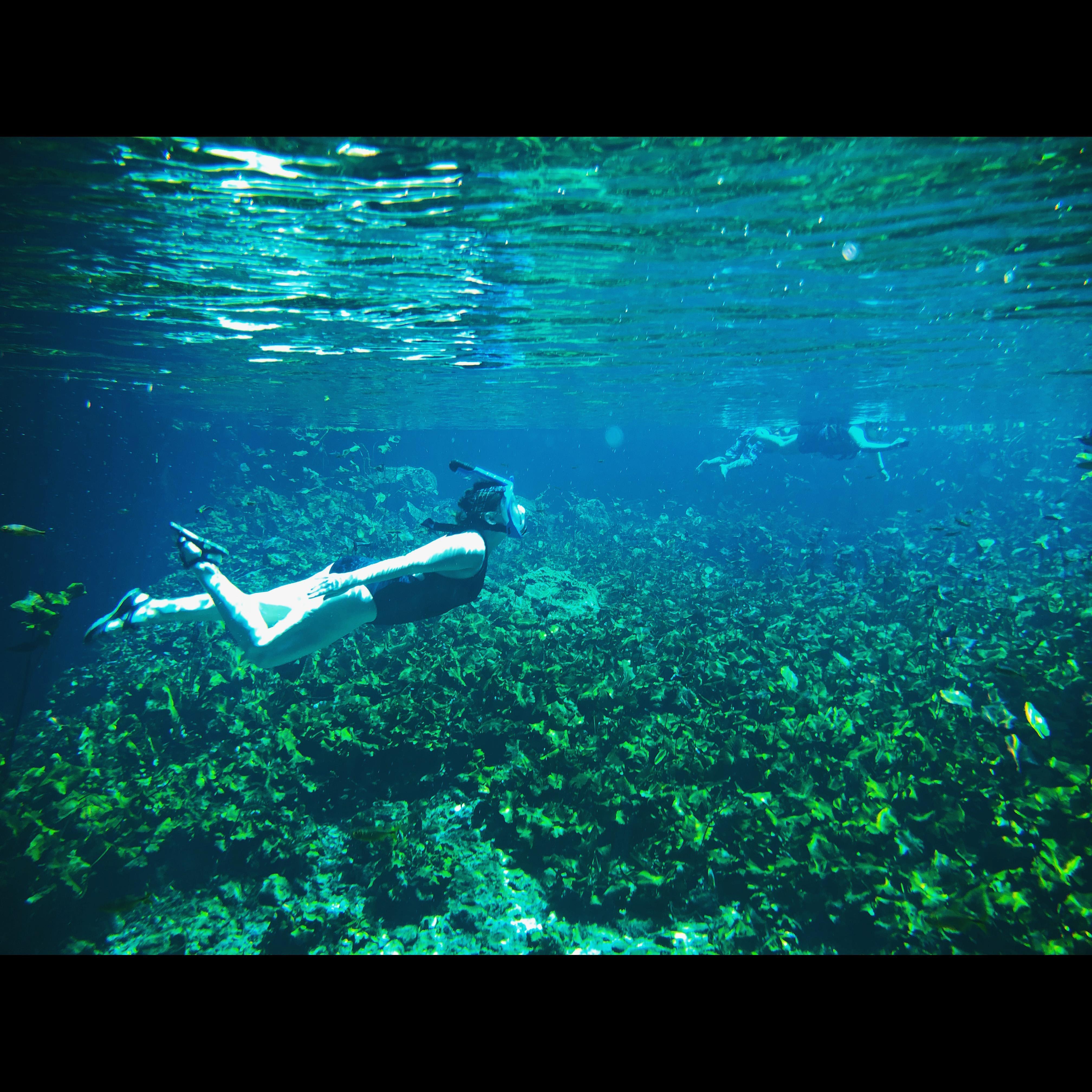 Snorkeling in a cenote in Tulum.