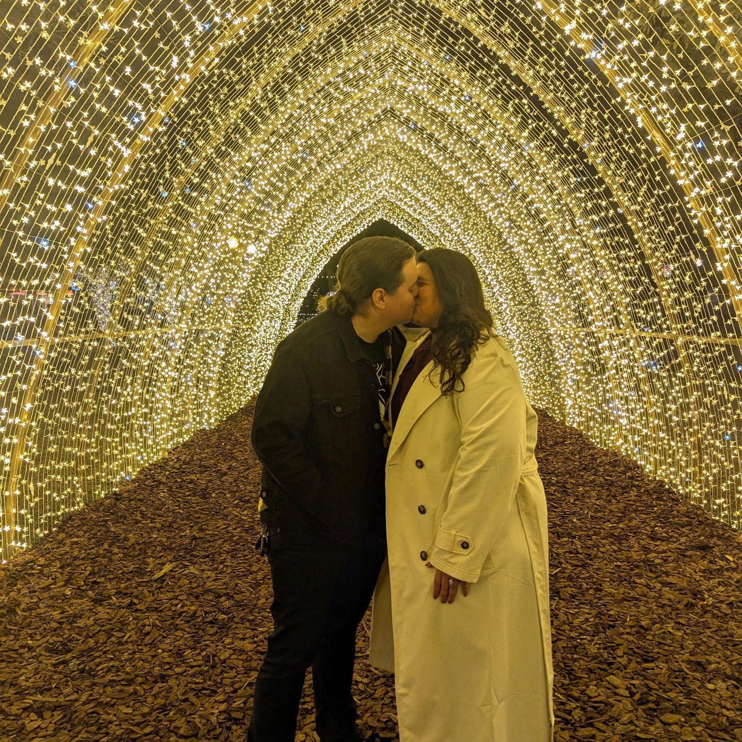 Holiday lights