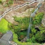 Cave Garden