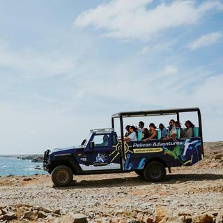 Natural Pool and Baby Beach Off-Road Safari - Aruba