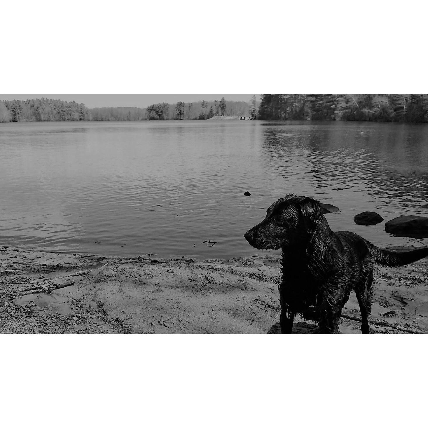Our best friend and love, Eli, may he RIP. He brought us together early and helped us through the difficult times and created so many wonderful memories with us that will be remembered forever.