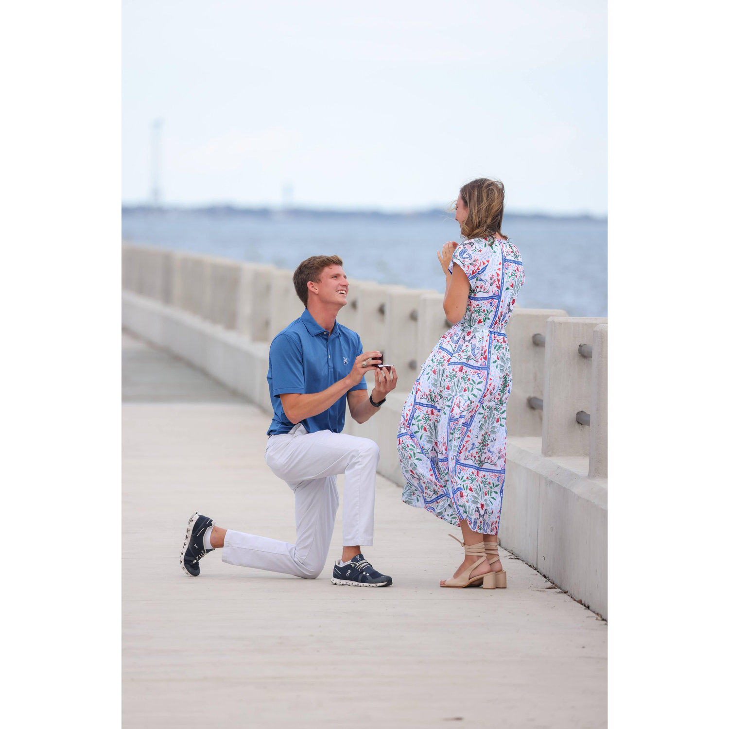 THE PROPOSAL