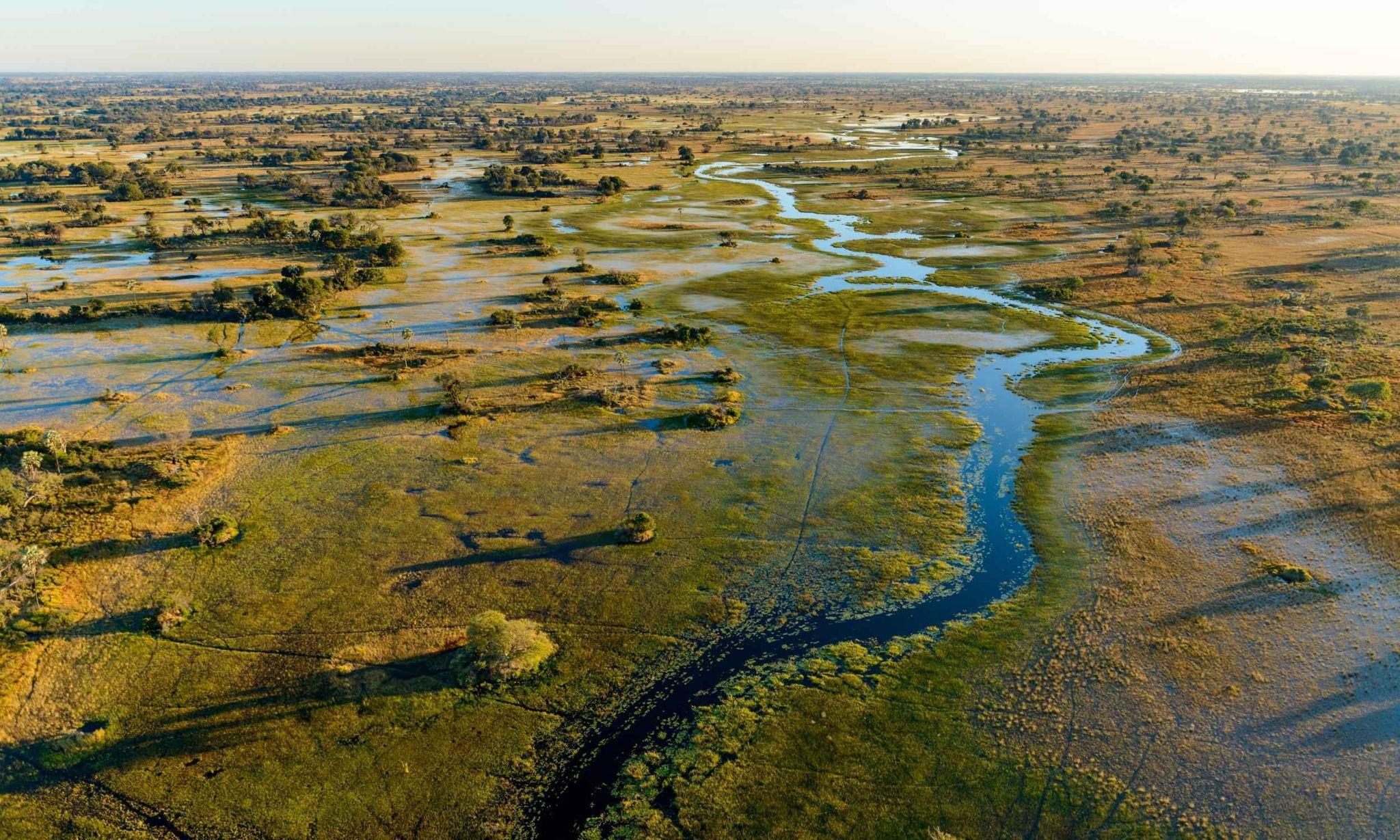 a52a59b6-6cce-4645-8efd-2dc7849883a9