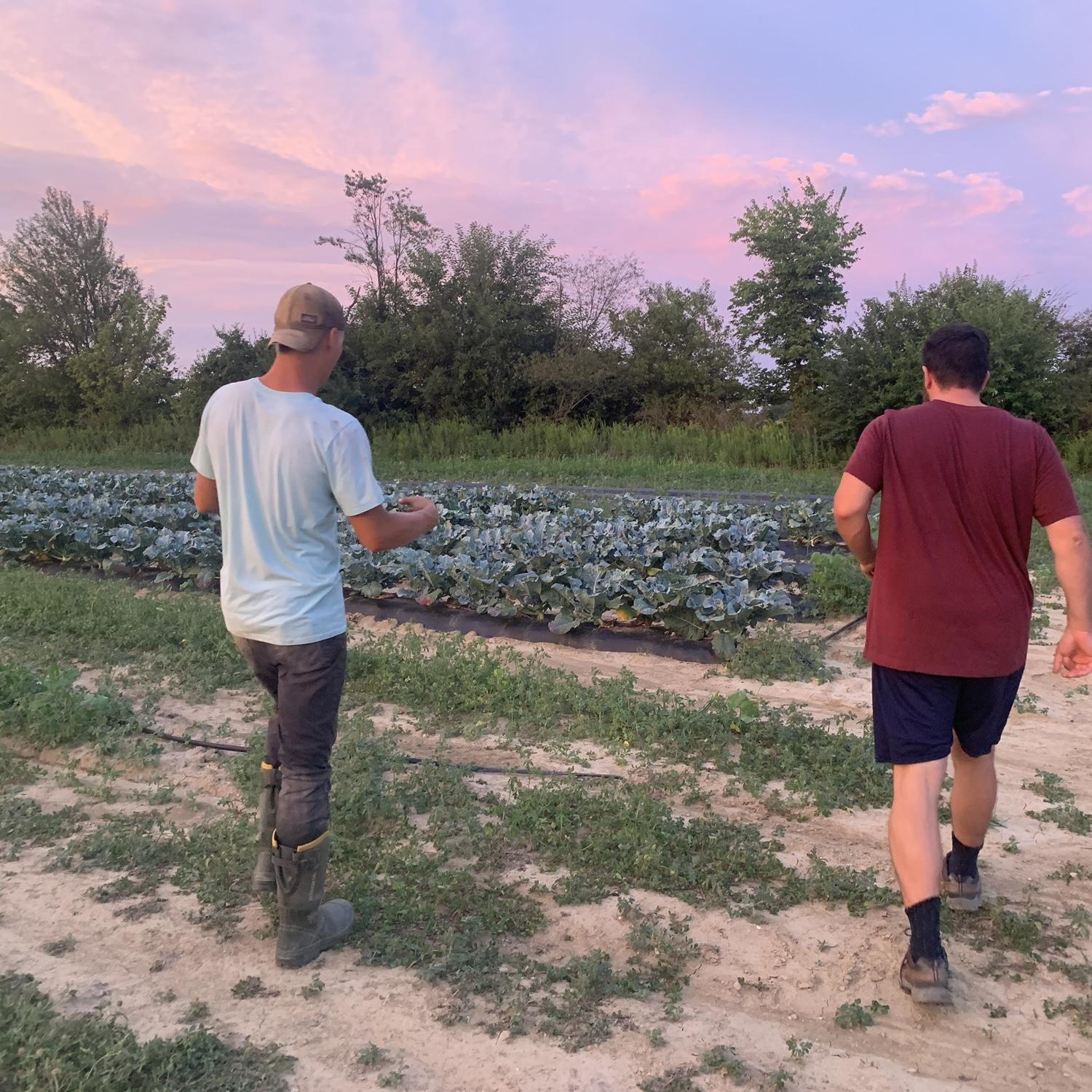 Visited Kelsey's cousin on his farm in Indiana. All of Kelsey's family adored Scott and she knew she was in trouble.