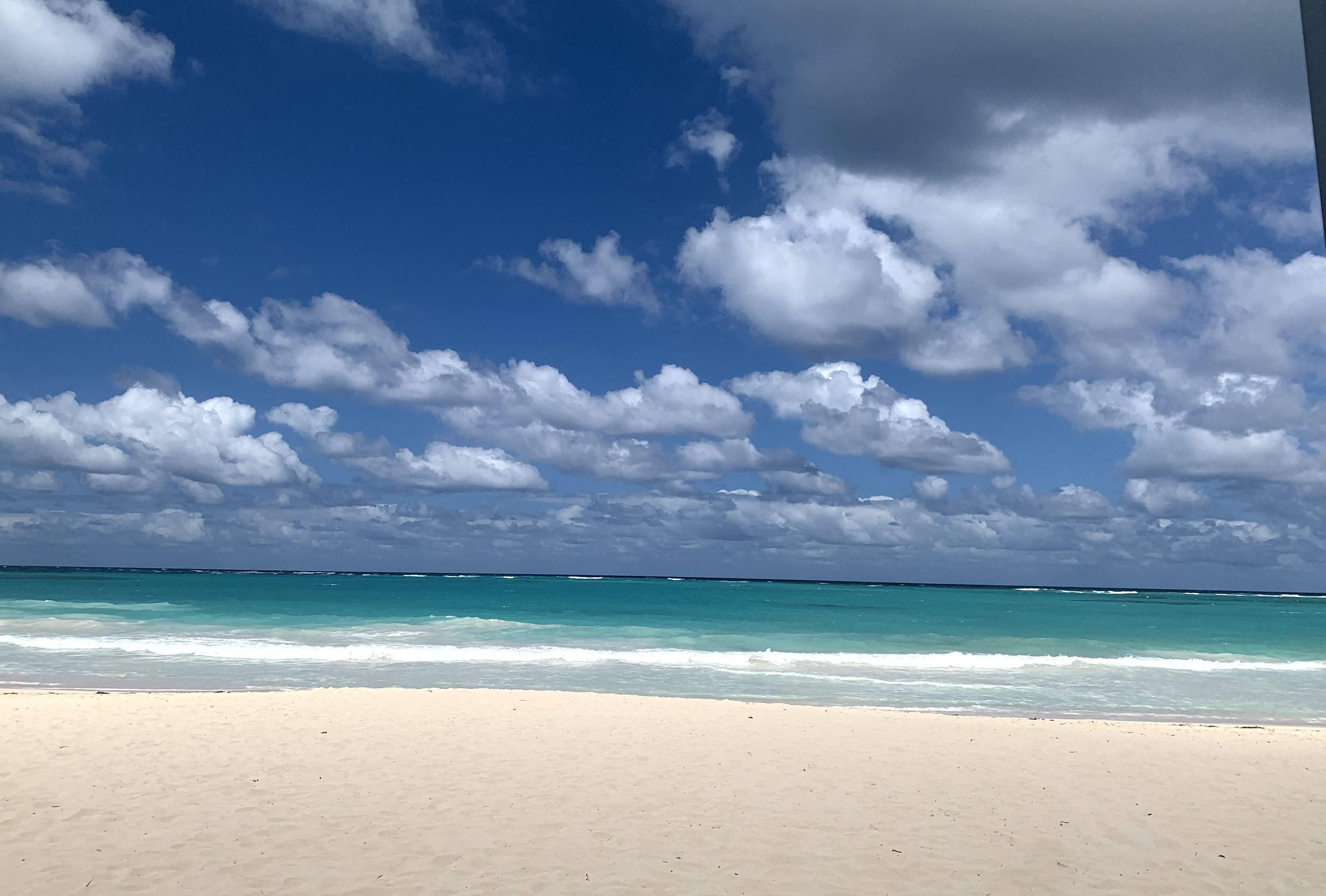 The Wedding Website of Taina Valcarcel Matos and Christopher Stone