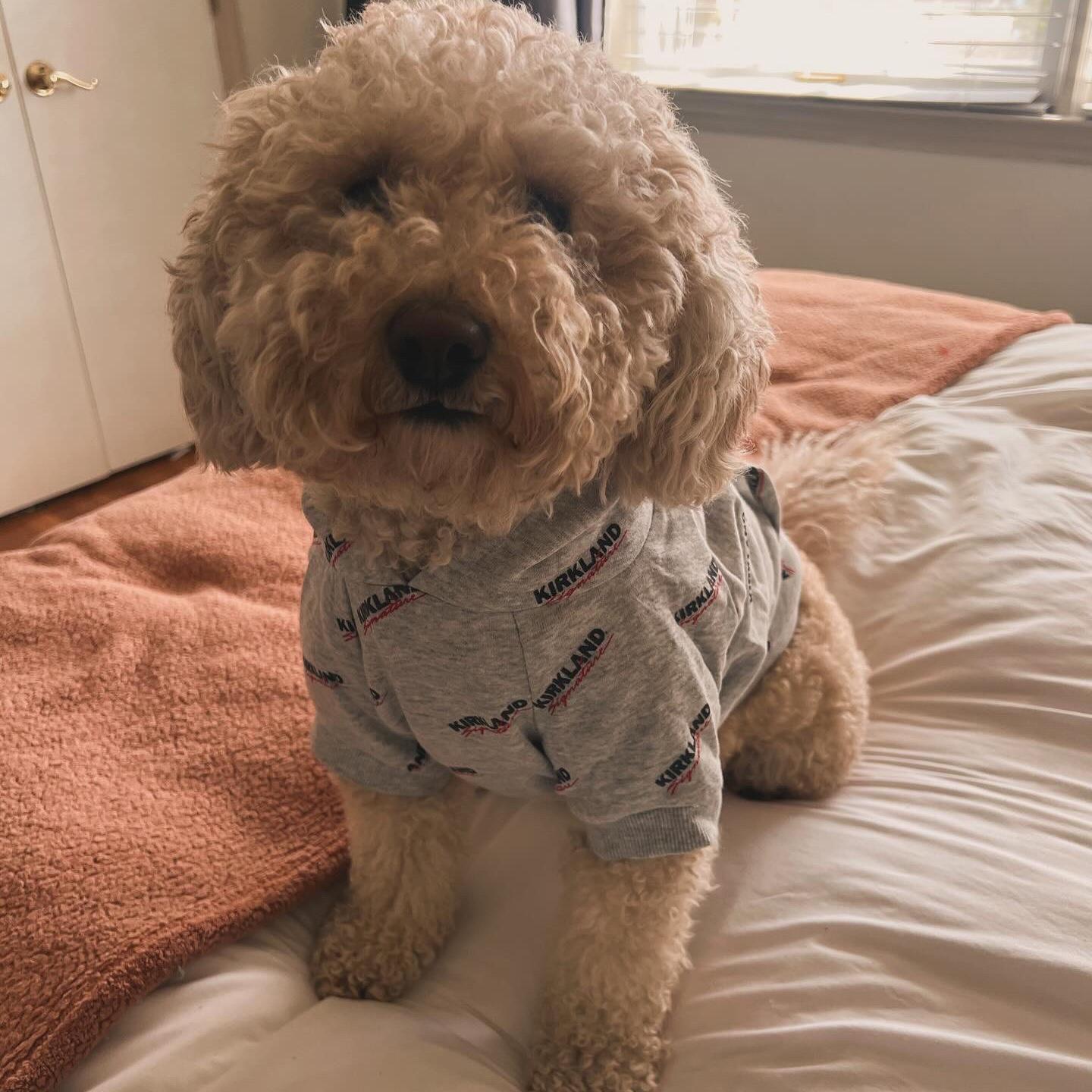 Luna became a certified lover girl when she got the "Kirkland" sweatshirt from Costco.