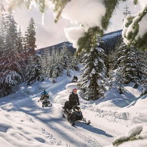 Snowmobiling Adventure