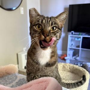 Donation to Happy Tails Pet Sanctuary