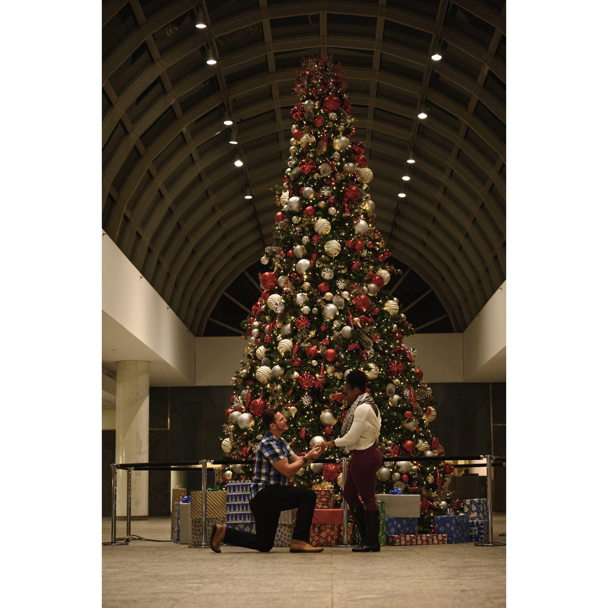 The moment of Frank's proposal