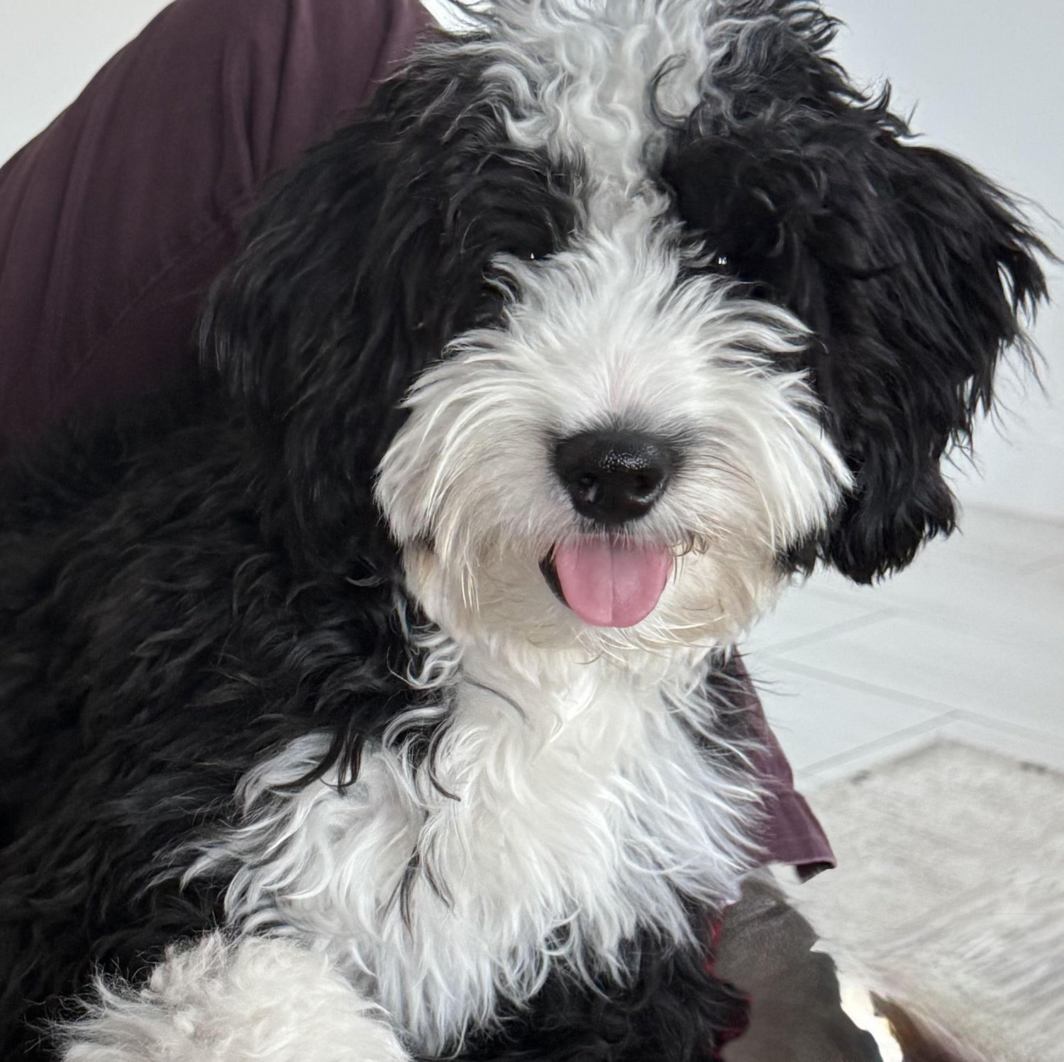 Hi, I'm Tucker!
