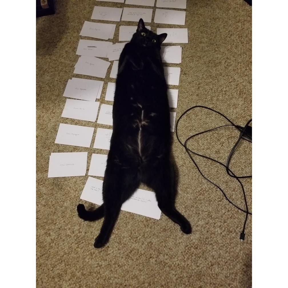 asserts academic dominance