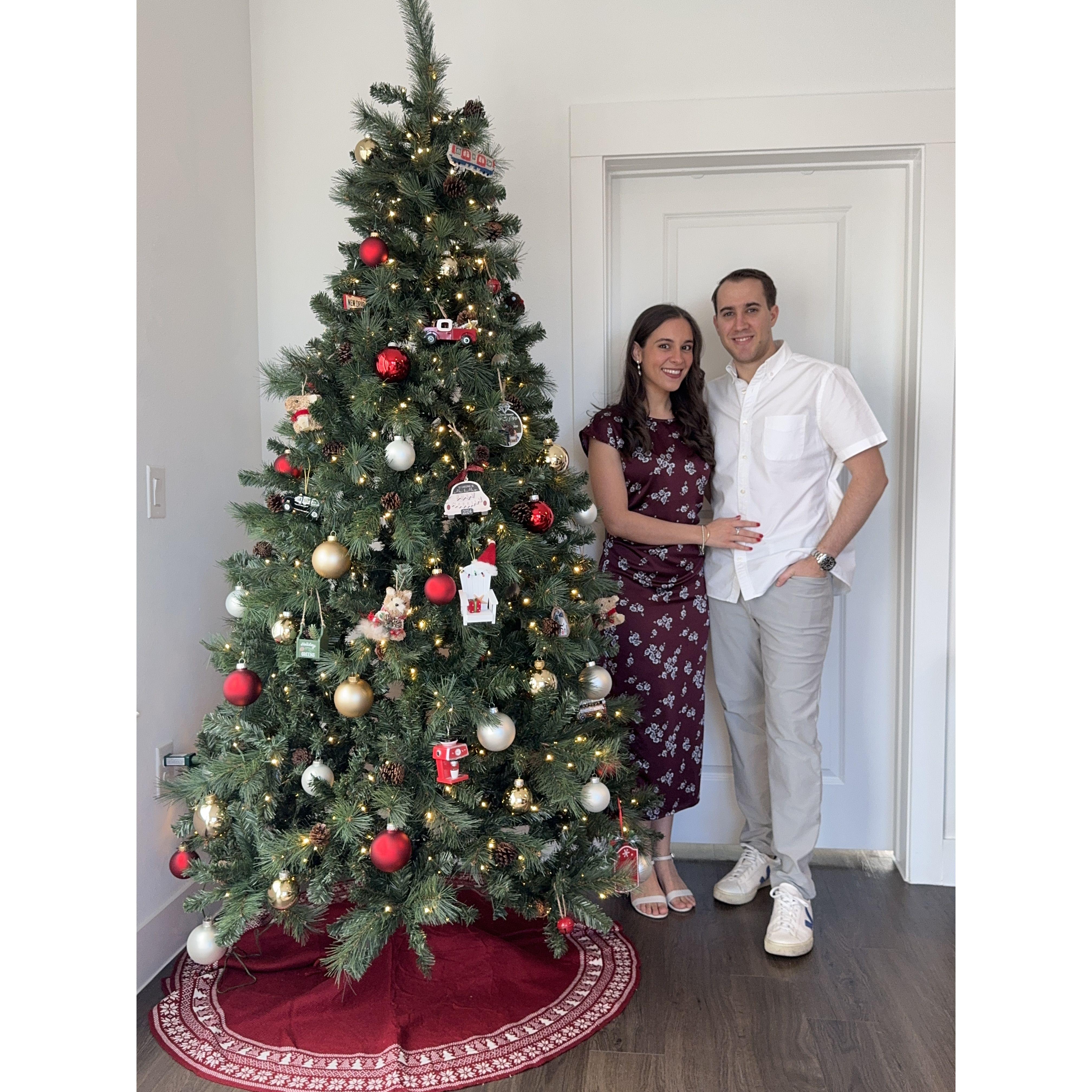 Austin, TX - December 2025 - First Christmas in our home!