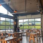 NoFo Brew Co