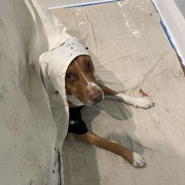 Our Home Renovation Fund