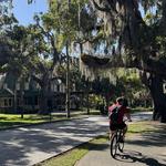 Beachside Bike Rentals