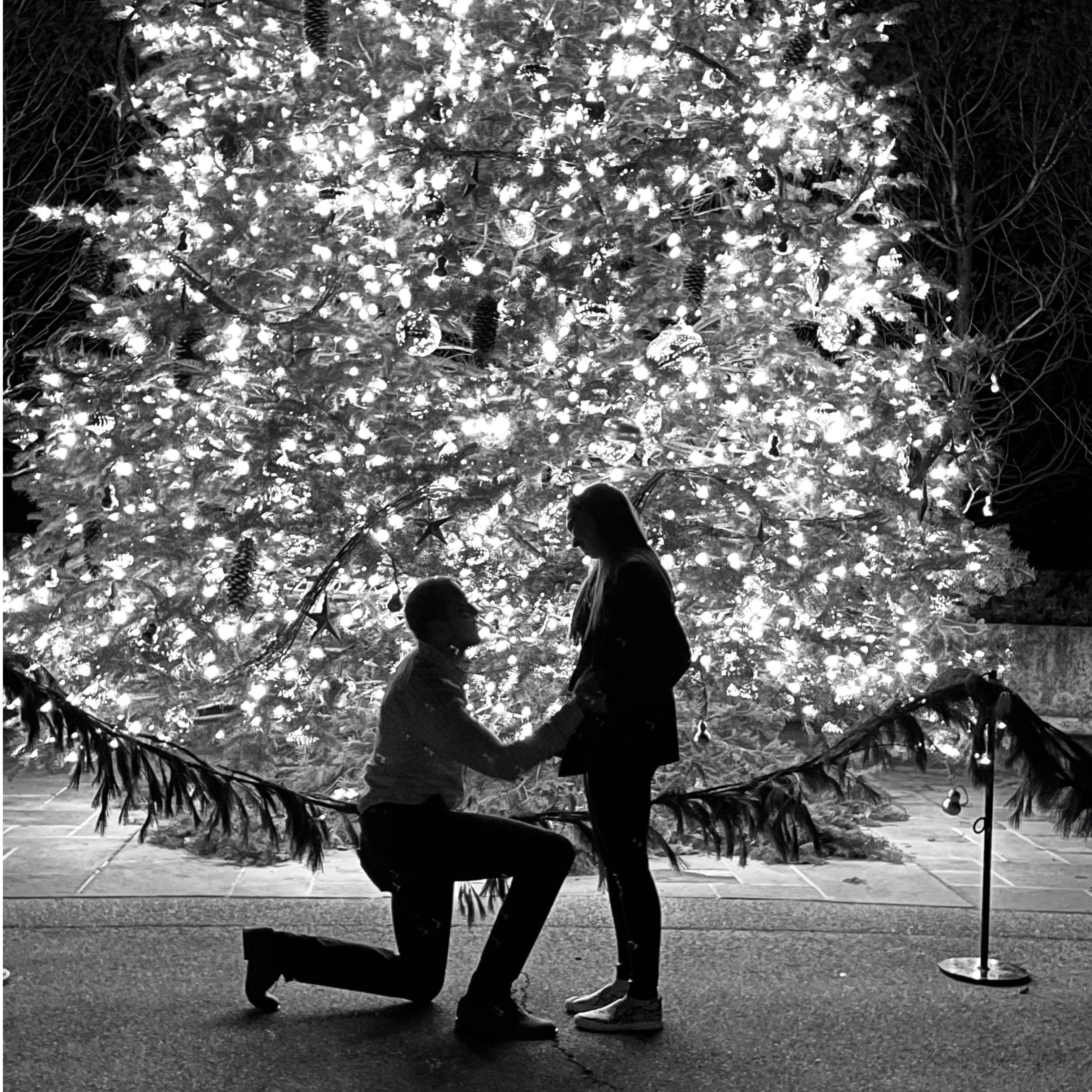 Proposal at Longwood Gardens