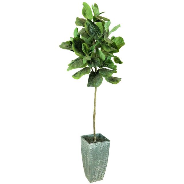 Fiddle Leaf 60-Inch Fig Tree in Deco White Galvanized Metal Pot