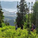 Bald Mountain Trailhead