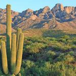 Catalina State Park