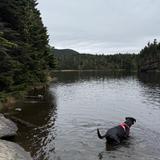 Sterling Pond Trail