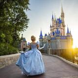 Walt Disney World