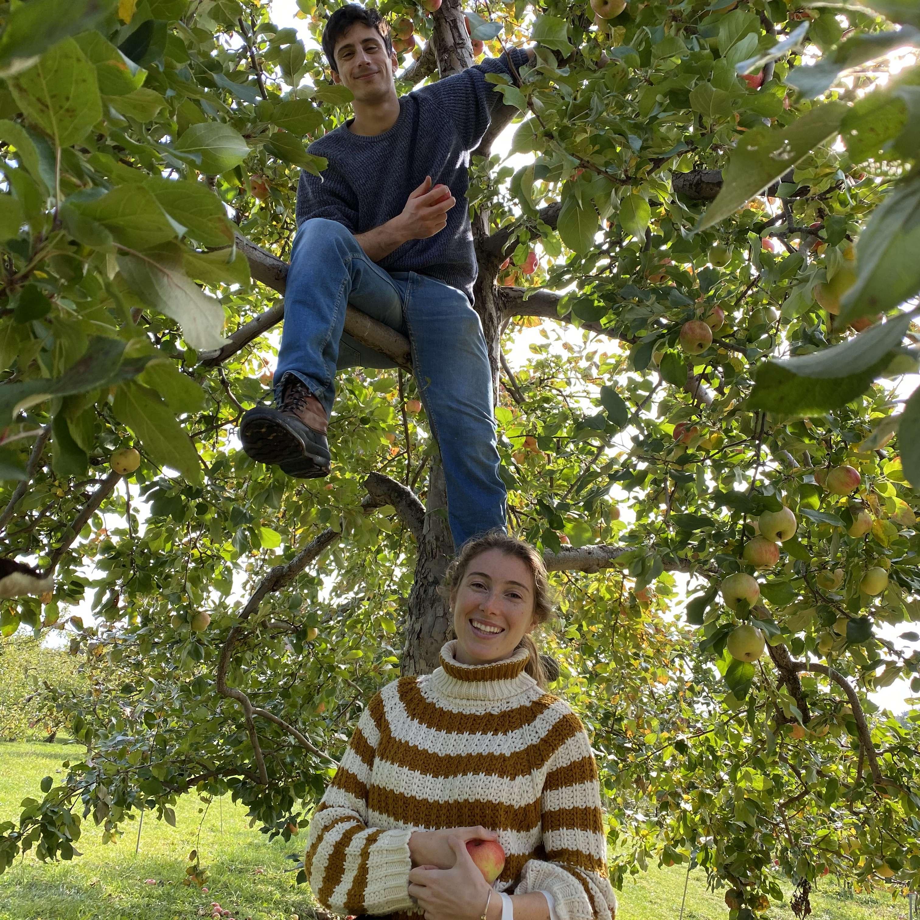 2020 - Apple picking in the Berkshires